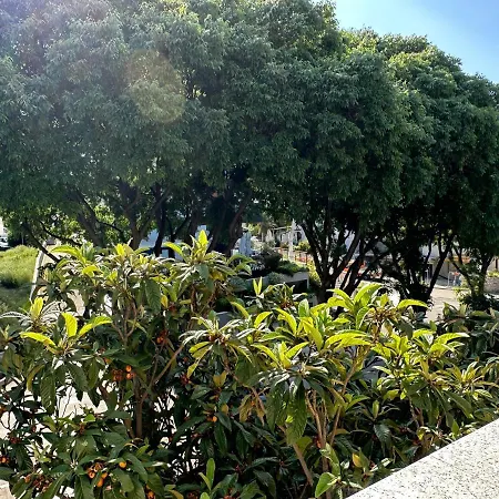 Apartment Vesna Split