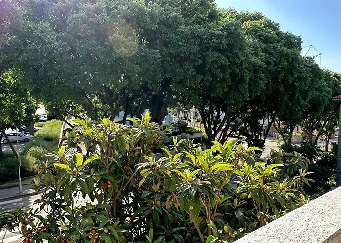 Lägenhet Vesna Split